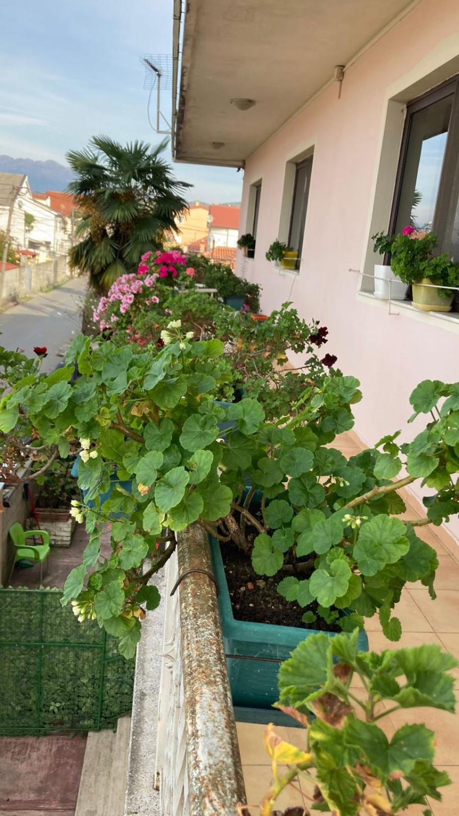 Blissful Hostel Шкодер Екстер'єр фото
