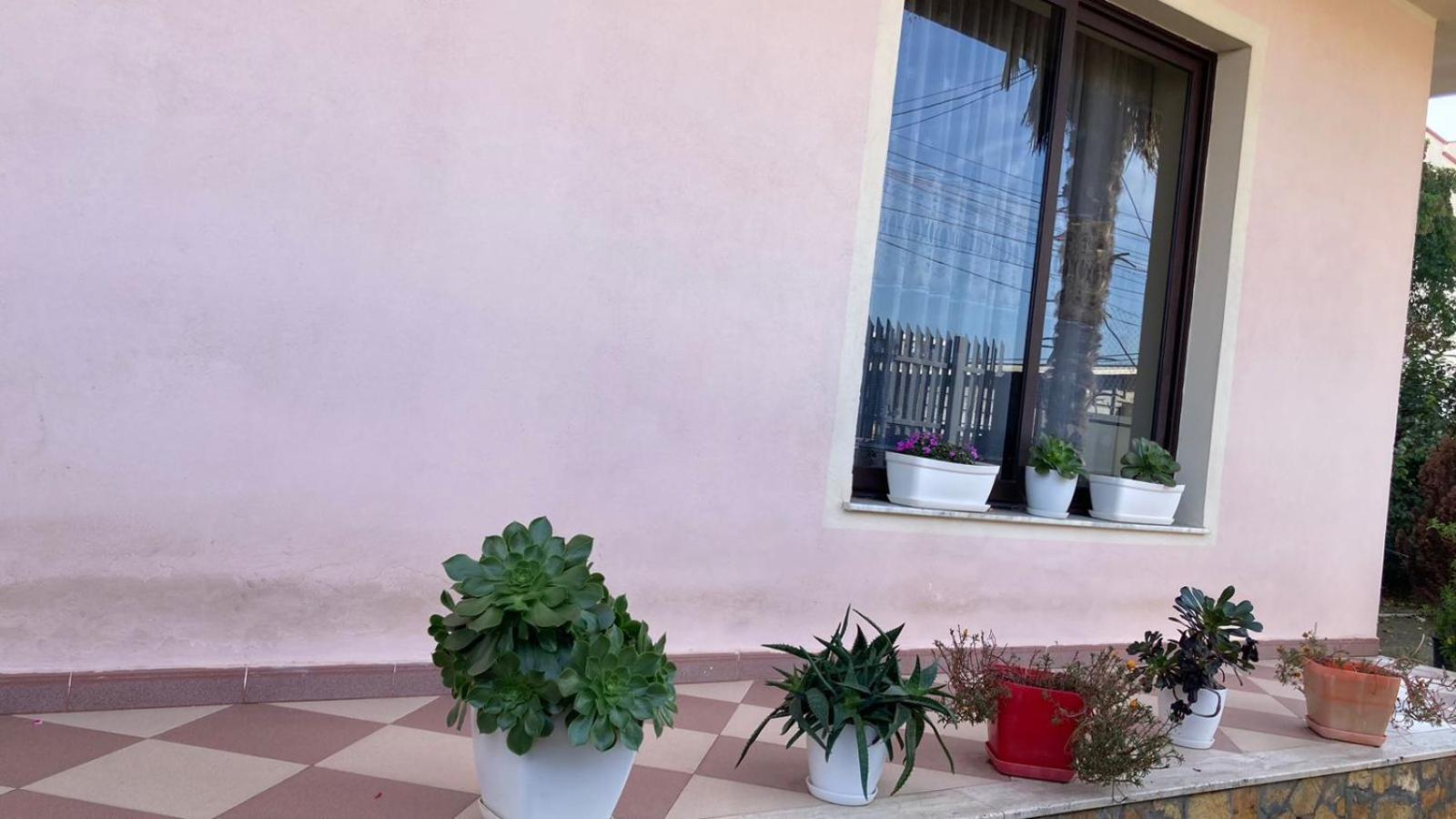 Blissful Hostel Шкодер Екстер'єр фото